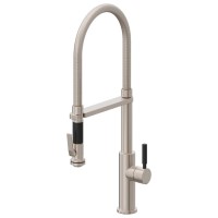 Spring Spout, Squeeze Trigger, Black Stick Handle