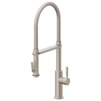 Spring Spout, Squeeze Trigger, Stick Handle