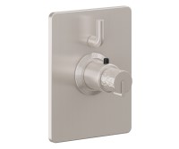 Rectangle Trim Plate, Hammered Handle, 1 Smaller Control