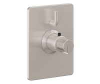 Rectangle Trim Plate, Knurled Handle, 1 Smaller Control