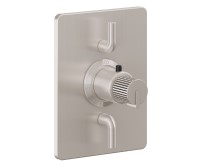 Rectangle Trim Plate, Pinstripe Intaglio Handle, 2 Smaller Controls