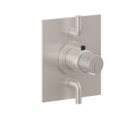 Square Trim Plate, Pinstripe Handle, 2 Smaller Controls