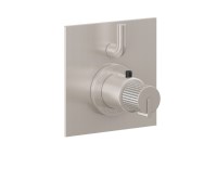 Square Trim Plate, Pinstripe Handle, 1 Smaller Control