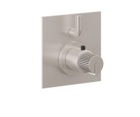 Square Trim Plate, Pinstripe Intaglio Handle, 1 Smaller Control