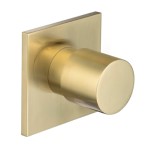 Round Diverter, Square Back Plate, Satin Brass